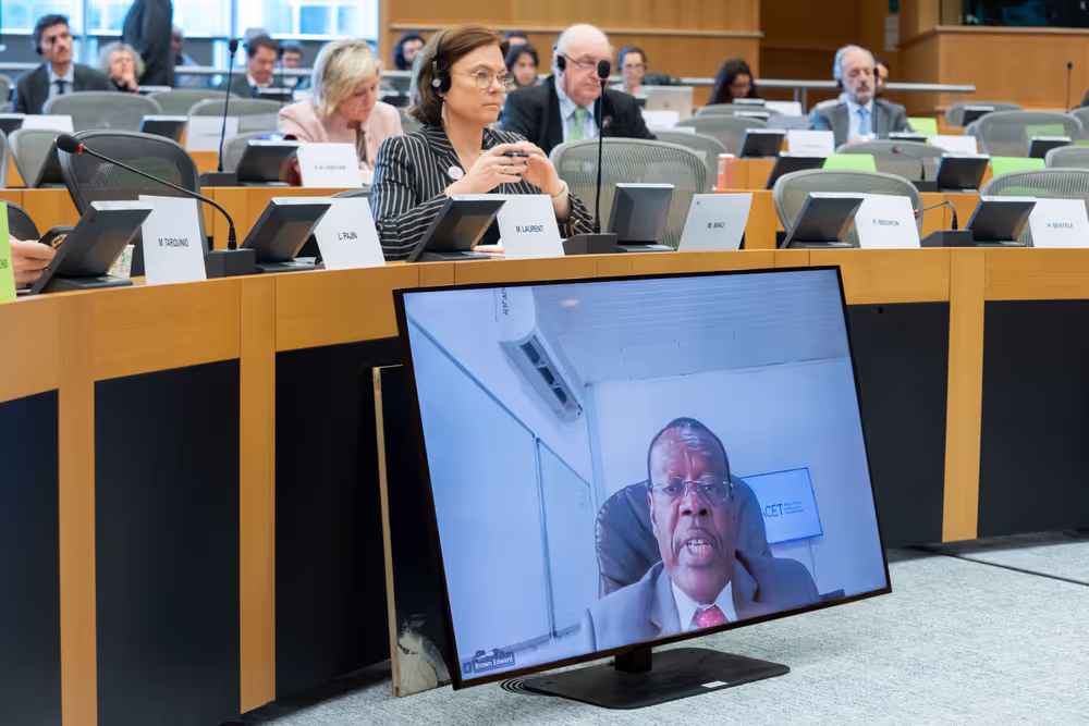 DEVE AFET - Public Hearing on EU-Africa Relations ahead of the 7th AU-EU summit