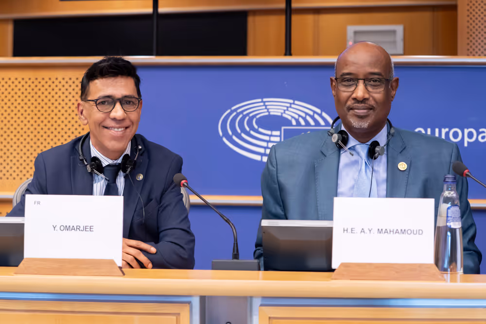 DEVE AFET - Public Hearing on EU-Africa Relations ahead of the 7th AU-EU summit