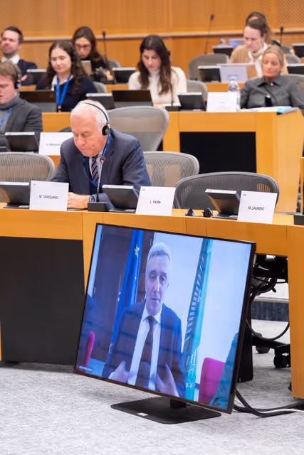 DEVE AFET - Public Hearing on EU-Africa Relations ahead of the 7th AU-EU summit