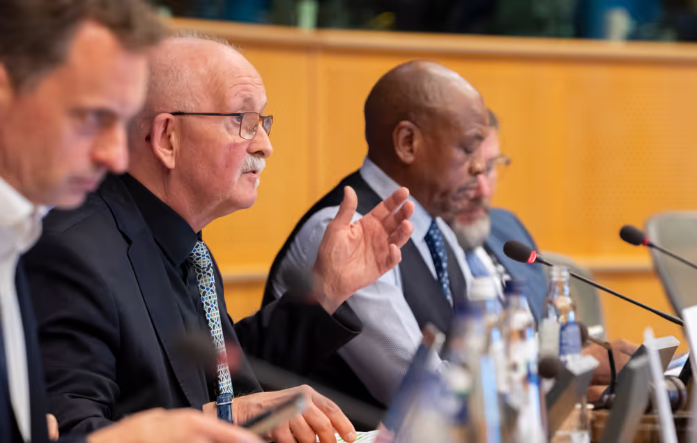 DEVE AFET - Public Hearing on EU-Africa Relations ahead of the 7th AU-EU summit