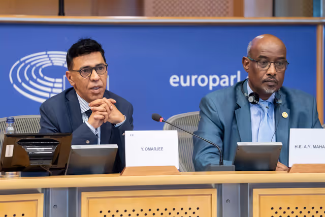 DEVE AFET - Public Hearing on EU-Africa Relations ahead of the 7th AU-EU summit