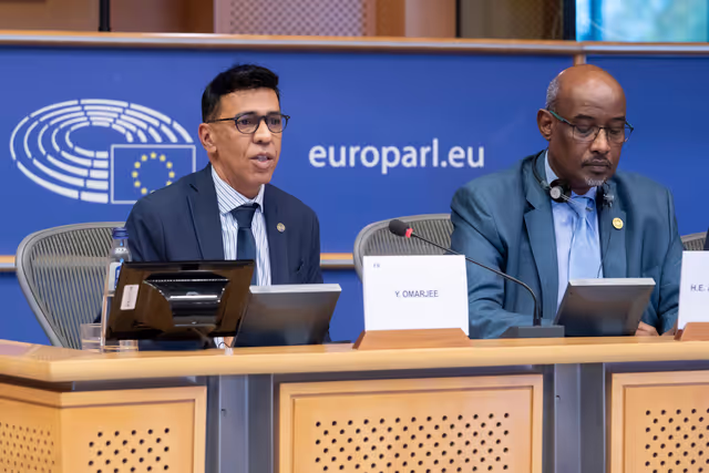 DEVE AFET - Public Hearing on EU-Africa Relations ahead of the 7th AU-EU summit