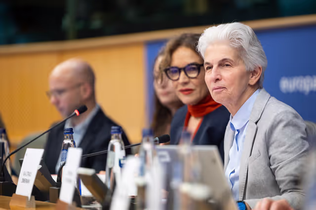 Fotografie 36: FEMM SEDE - Hearing: The 25th anniversary of UN SCR 1325 on Women, Peace and Security