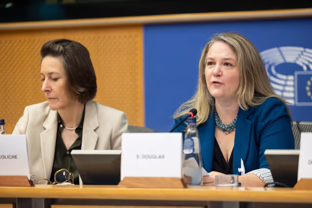 Fotografie 31: FEMM SEDE - Hearing: The 25th anniversary of UN SCR 1325 on Women, Peace and Security