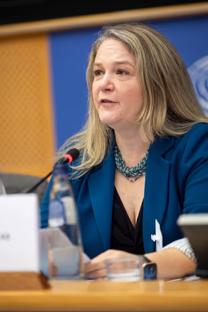 Fotografie 29: FEMM SEDE - Hearing: The 25th anniversary of UN SCR 1325 on Women, Peace and Security