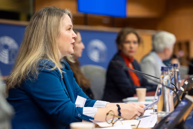 Fotografie 26: FEMM SEDE - Hearing: The 25th anniversary of UN SCR 1325 on Women, Peace and Security