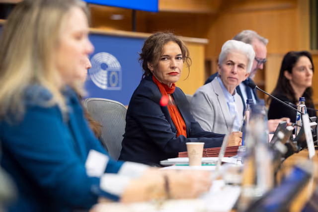 Fotografie 27: FEMM SEDE - Hearing: The 25th anniversary of UN SCR 1325 on Women, Peace and Security