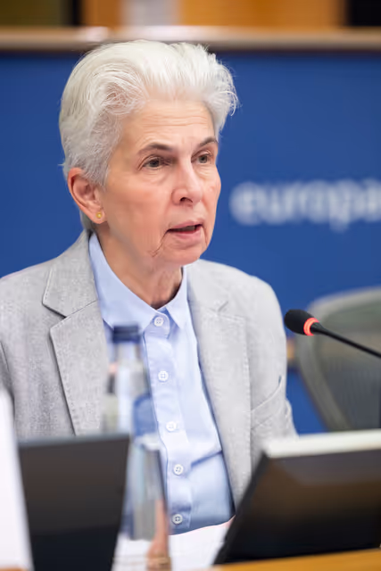 Fotografie 25: FEMM SEDE - Hearing: The 25th anniversary of UN SCR 1325 on Women, Peace and Security