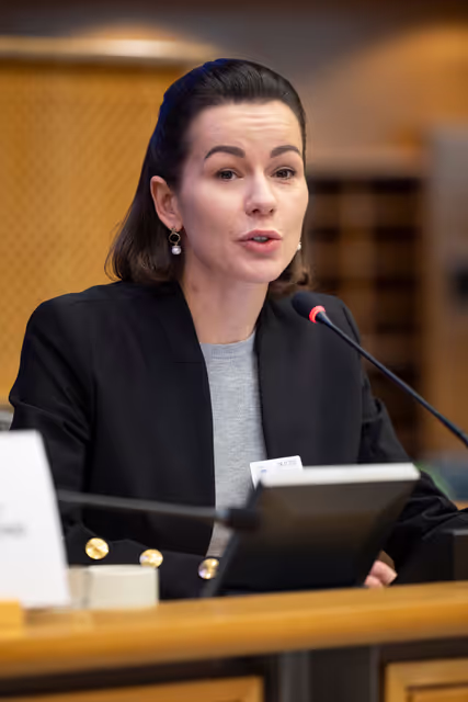 Fotografie 24: FEMM SEDE - Hearing: The 25th anniversary of UN SCR 1325 on Women, Peace and Security