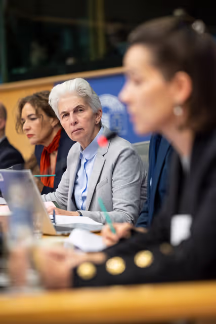 Fotografie 18: FEMM SEDE - Hearing: The 25th anniversary of UN SCR 1325 on Women, Peace and Security