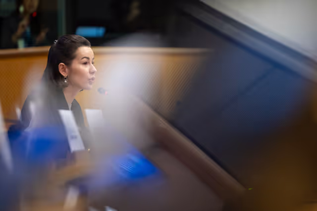 Fotografie 17: FEMM SEDE - Hearing: The 25th anniversary of UN SCR 1325 on Women, Peace and Security