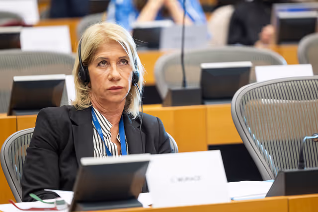 Fotografie 15: FEMM SEDE - Hearing: The 25th anniversary of UN SCR 1325 on Women, Peace and Security