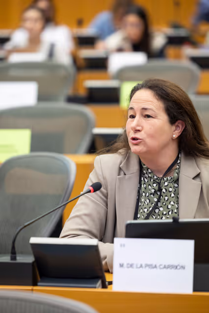 Fotografie 10: FEMM SEDE - Hearing: The 25th anniversary of UN SCR 1325 on Women, Peace and Security