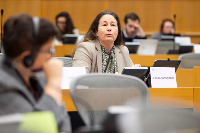 Fotografie 9: FEMM SEDE - Hearing: The 25th anniversary of UN SCR 1325 on Women, Peace and Security