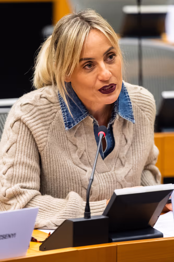 FEMM LIBE - Presentation by the Commission - Baseline evaluation procedure of the European Union's implementation of the Council of Europe   Convention on preventing and combating violence against women and domestic violence (the Istanbul Convention)