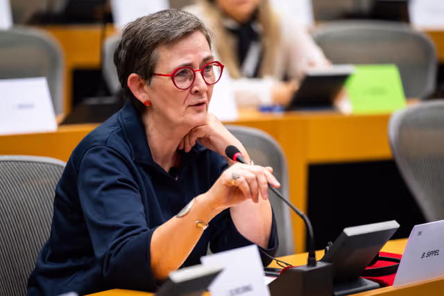 FEMM LIBE - Presentation by the Commission - Baseline evaluation procedure of the European Union's implementation of the Council of Europe   Convention on preventing and combating violence against women and domestic violence (the Istanbul Convention)