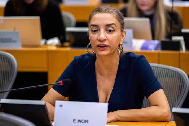 FEMM LIBE - Presentation by the Commission - Baseline evaluation procedure of the European Union's implementation of the Council of Europe   Convention on preventing and combating violence against women and domestic violence (the Istanbul Convention)