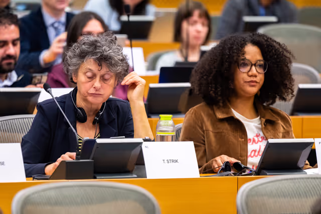 FEMM LIBE - Presentation by the Commission - Baseline evaluation procedure of the European Union's implementation of the Council of Europe   Convention on preventing and combating violence against women and domestic violence (the Istanbul Convention)