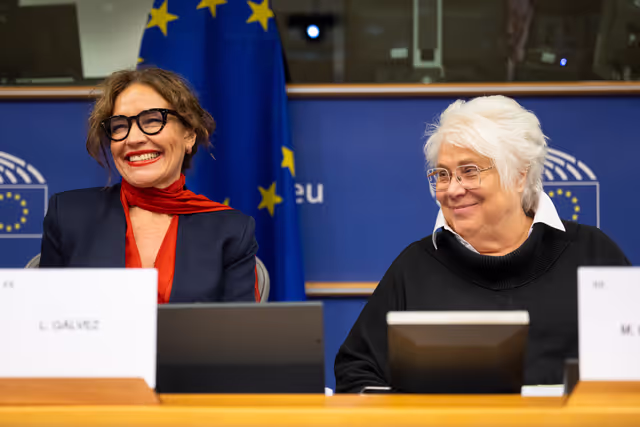 Fotogrāfija 25: FEMM LIBE - Presentation by the Commission - Baseline evaluation procedure of the European Union's implementation of the Council of Europe   Convention on preventing and combating violence against women and domestic violence (the Istanbul Convention)