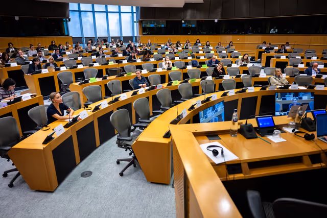 FEMM LIBE - Presentation by the Commission - Baseline evaluation procedure of the European Union's implementation of the Council of Europe   Convention on preventing and combating violence against women and domestic violence (the Istanbul Convention)