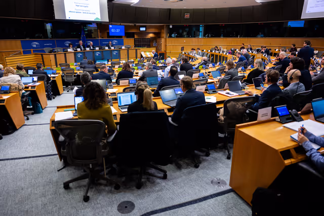 Hearing on Neighbourhood and the World (MFF6) with Commissioners Marta KOS, Dubravka SUICA and Joseph SIKELA, in the presence of ECA reporting Members Laima ANDRIKIENNE (Neighbourhood and the World), and Marek OPIOLA (EDF)