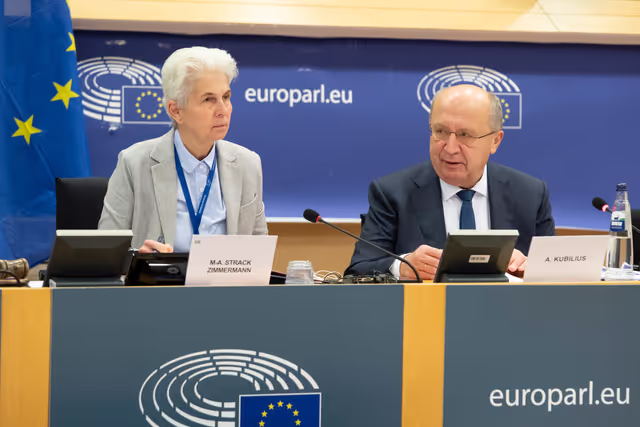 SEDE - Defence readiness agenda - 2030: achievements, state of play and priorities for 2026 with Andrius Kubilius, Commissioner for Defence and Space