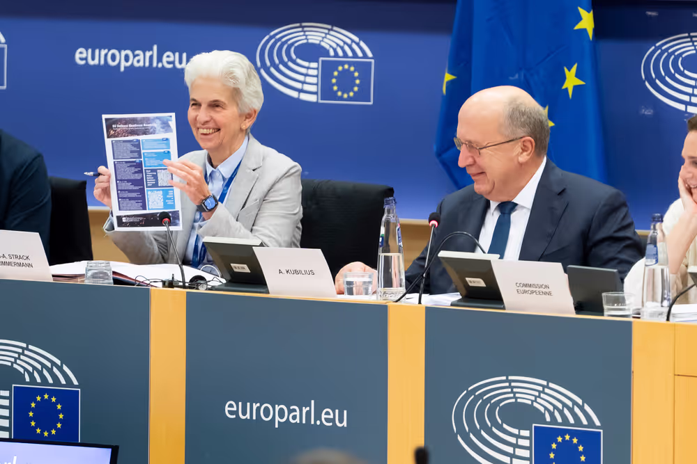 SEDE - Defence readiness agenda - 2030: achievements, state of play and priorities for 2026 with Andrius Kubilius, Commissioner for Defence and Space