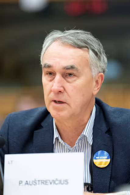 SEDE - Defence readiness agenda - 2030: achievements, state of play and priorities for 2026 with Andrius Kubilius, Commissioner for Defence and Space