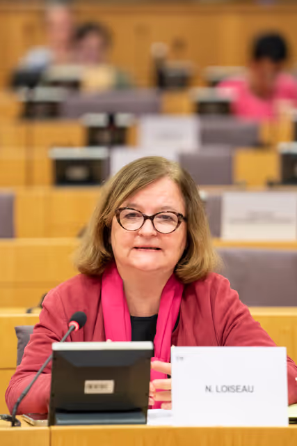 SEDE - Current challenges facing UN Peacekeeping with Jean-Pierre Lacroix, Under-Secretary-General, Department of Peace Operations