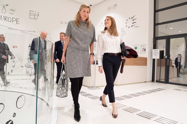 AFCO Symposium - The Quest for the Rule of Law