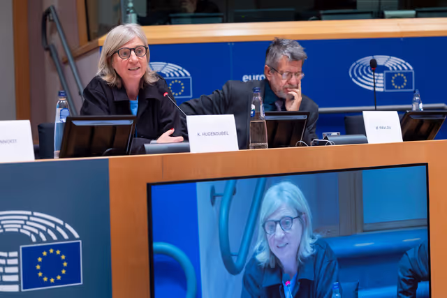 Foto 11: LIBE - EU LGBTIQ equality strategy for 2026-2030