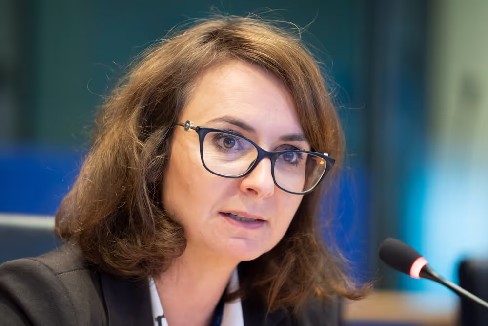 IMCO - Public hearing - Building an independent, open and healthy digital environment for European consumers