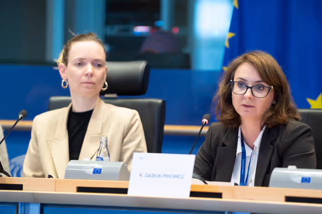IMCO - Public hearing - Building an independent, open and healthy digital environment for European consumers