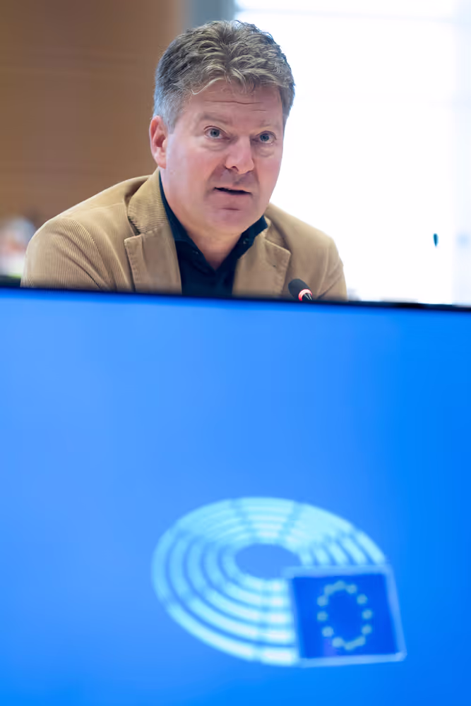 IMCO - Public hearing - Building an independent, open and healthy digital environment for European consumers