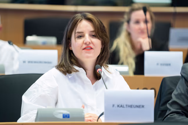 IMCO - Public hearing - Building an independent, open and healthy digital environment for European consumers