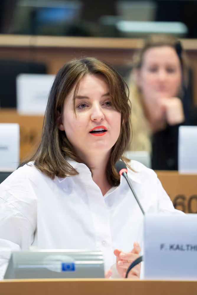 IMCO - Public hearing - Building an independent, open and healthy digital environment for European consumers