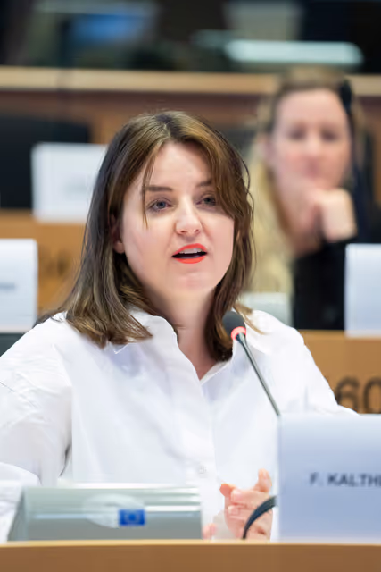 IMCO - Public hearing - Building an independent, open and healthy digital environment for European consumers