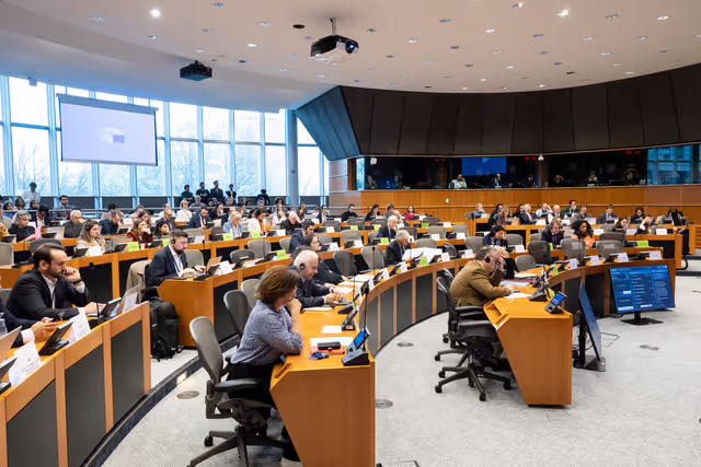 Billede 27: DROI/DEVE - Public Hearing on the human rights situation in Sudan and the EU Strategy