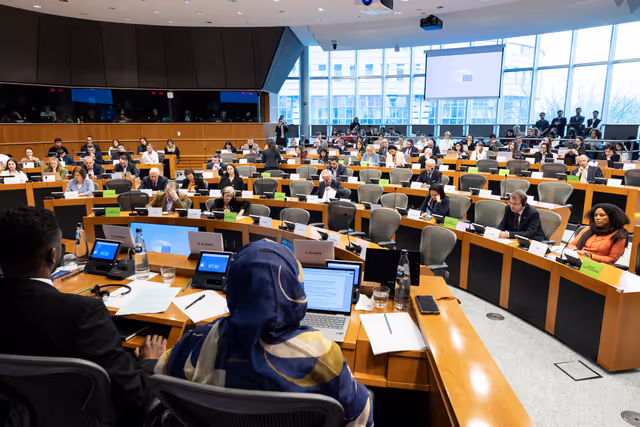 Billede 26: DROI/DEVE - Public Hearing on the human rights situation in Sudan and the EU Strategy