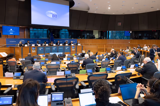 Billede 25: DROI/DEVE - Public Hearing on the human rights situation in Sudan and the EU Strategy