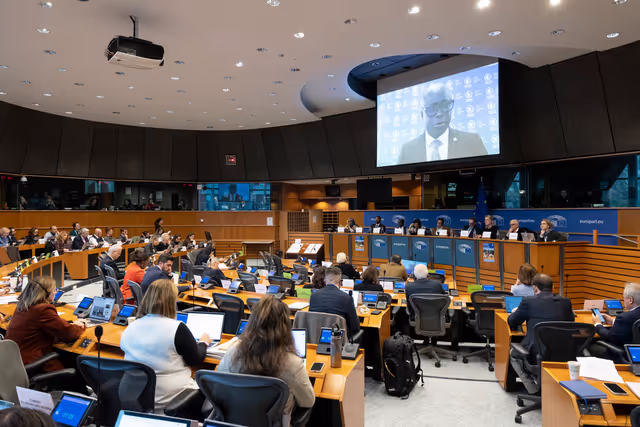DROI/DEVE - Public Hearing on the human rights situation in Sudan and the EU Strategy