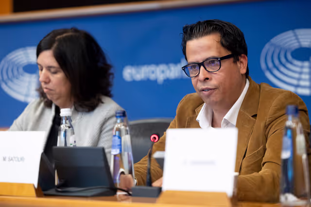 Billede 36: DROI/DEVE - Public Hearing on the human rights situation in Sudan and the EU Strategy