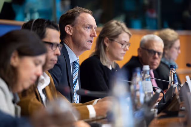 DROI/DEVE - Public Hearing on the human rights situation in Sudan and the EU Strategy