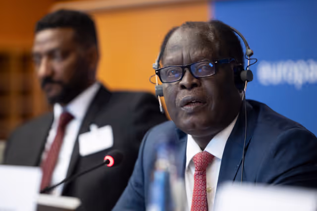 Billede 29: DROI/DEVE - Public Hearing on the human rights situation in Sudan and the EU Strategy