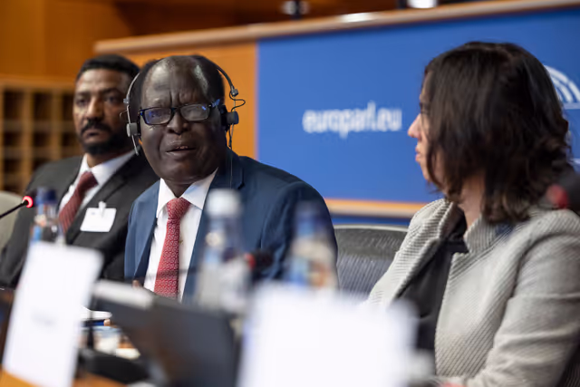 Billede 24: DROI/DEVE - Public Hearing on the human rights situation in Sudan and the EU Strategy