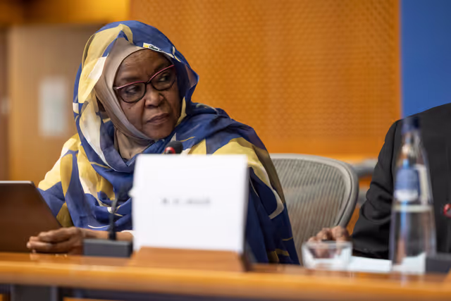 Billede 22: DROI/DEVE - Public Hearing on the human rights situation in Sudan and the EU Strategy