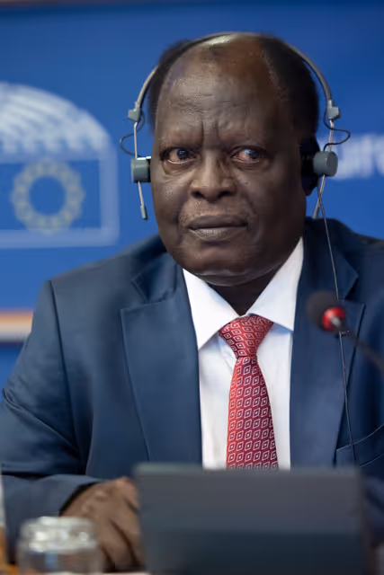 Billede 20: DROI/DEVE - Public Hearing on the human rights situation in Sudan and the EU Strategy