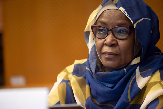 Billede 21: DROI/DEVE - Public Hearing on the human rights situation in Sudan and the EU Strategy