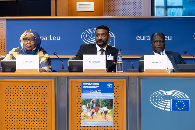 Billede 17: DROI/DEVE - Public Hearing on the human rights situation in Sudan and the EU Strategy