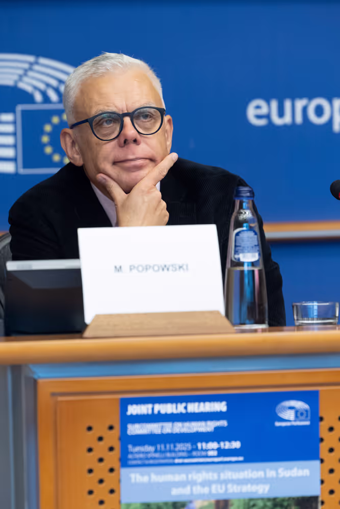 DROI/DEVE - Public Hearing on the human rights situation in Sudan and the EU Strategy